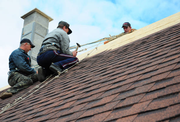 Quick and Trustworthy Emergency Roof Repair Services in Willcox, AZ